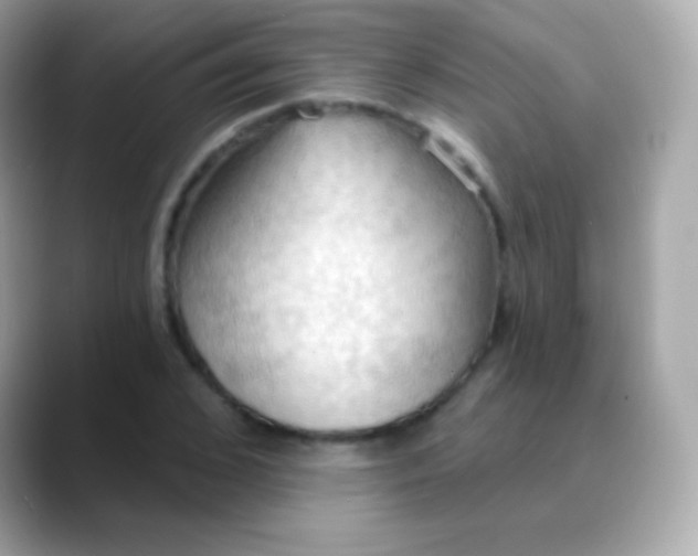 X0000088490976200706051415