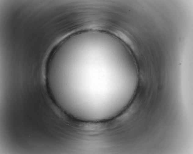 X0000088490981200706051415