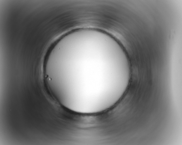 X0000088490982200706051415