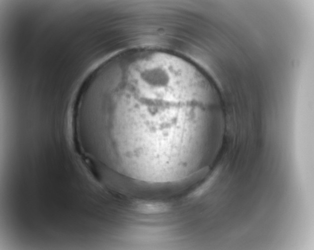 X0000088490983200706051415