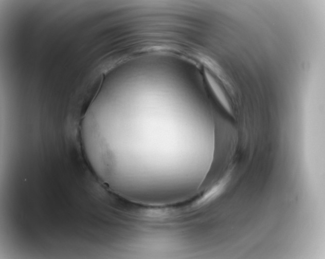 X0000088490985200706051415