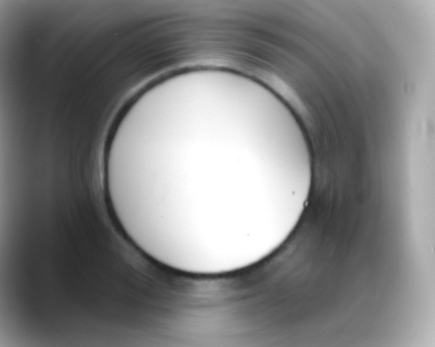 X0000088490988200706051415