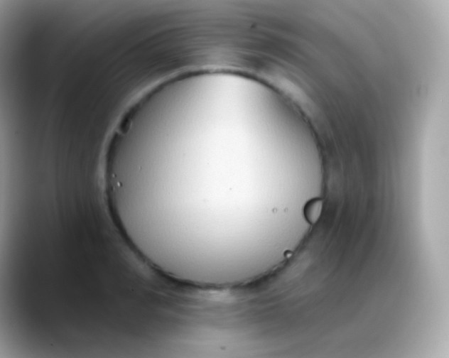 X0000088490990200706051415