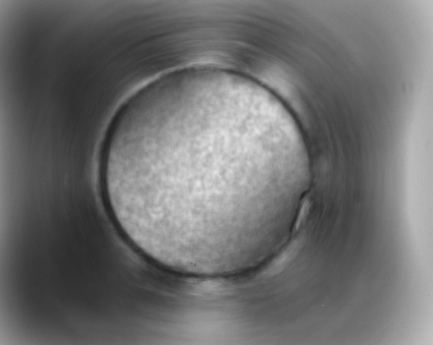 X0000088490991200706051415