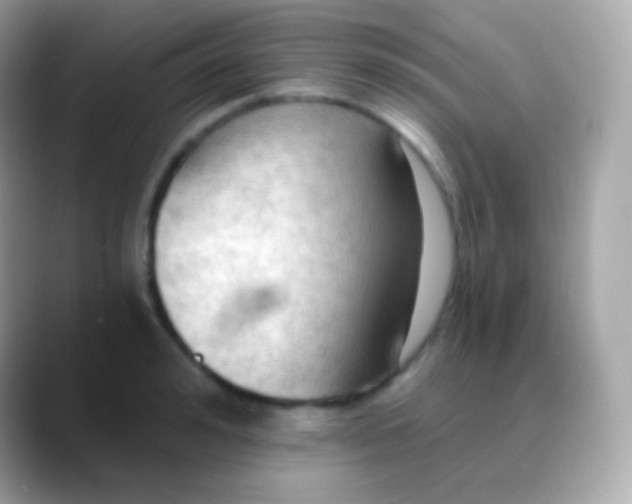 X0000088490992200706051415