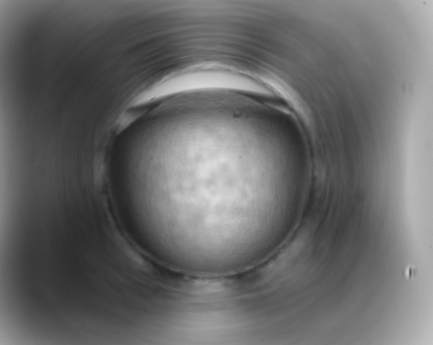 X0000088490993200706051415