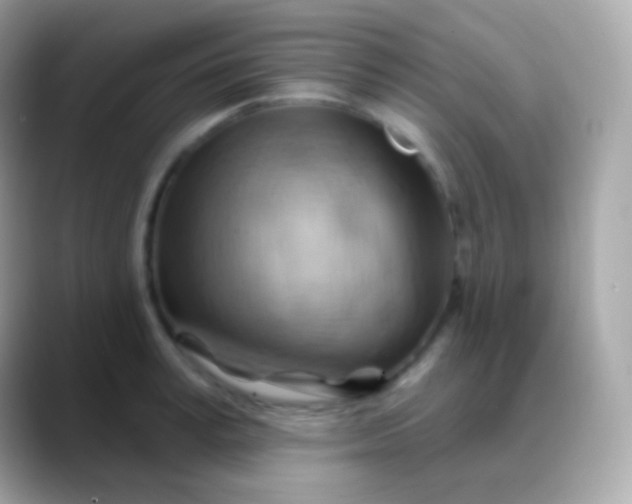 X0000088490995200706051415