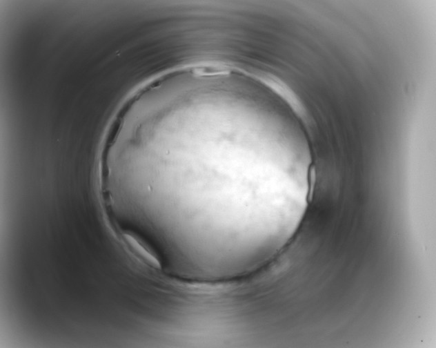 X0000088490996200706051415