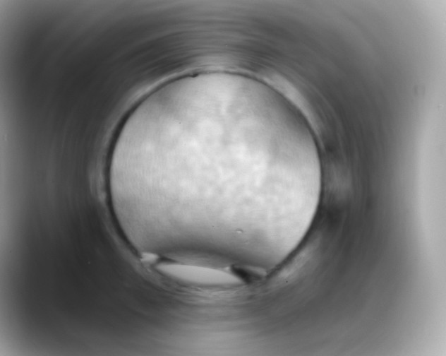 X0000088490997200706051415