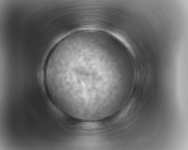 X0000088490998200706051415