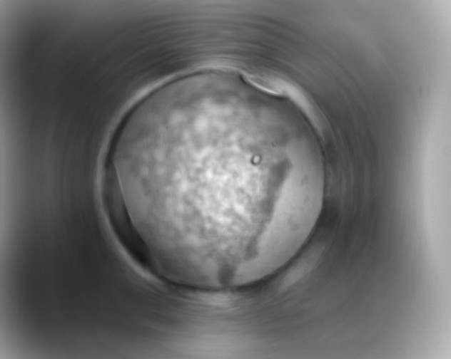 X0000088490999200706051415