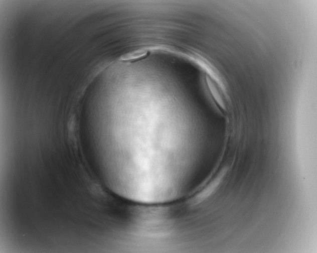 X0000088491001200706051415