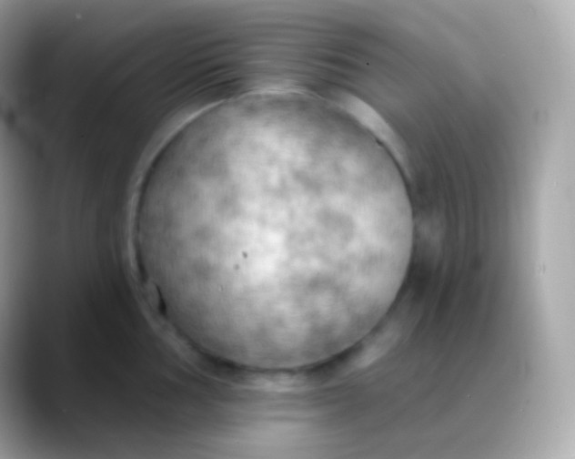 X0000088491002200706051415