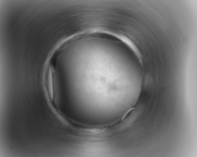 X0000088491005200706051415