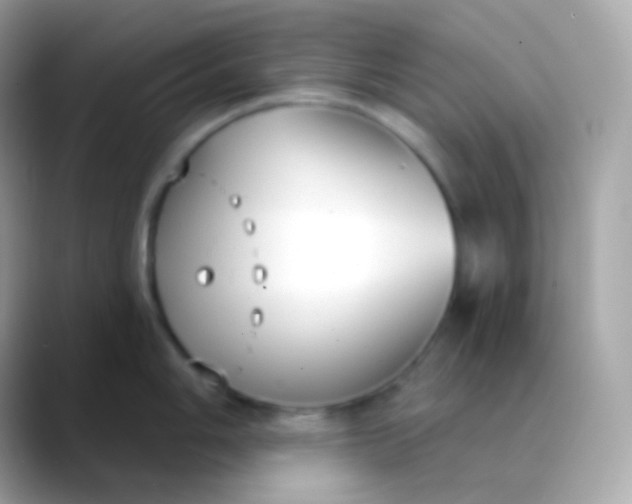 X0000088491006200706051415