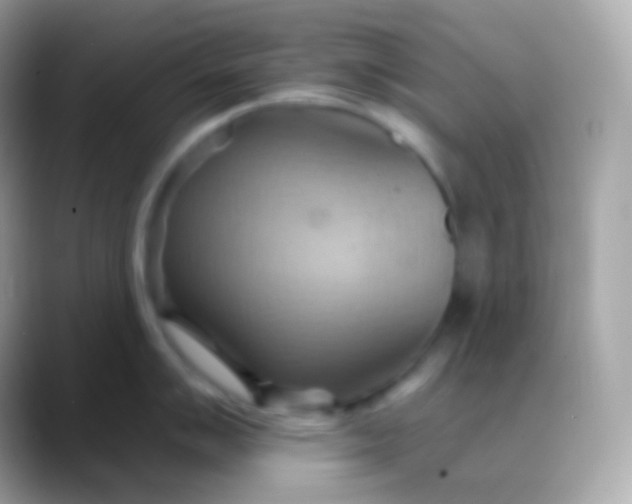 X0000088491007200706051415