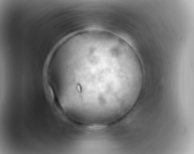 X0000088491008200706051415