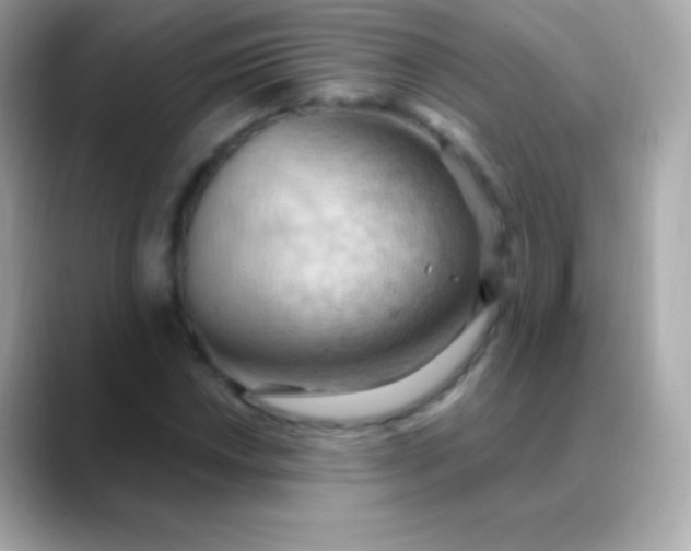 X0000088491018200706051414