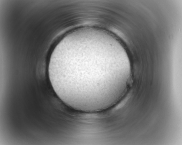 X0000088491021200706051414