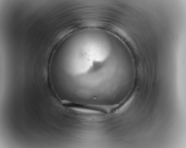 X0000088491025200706051414
