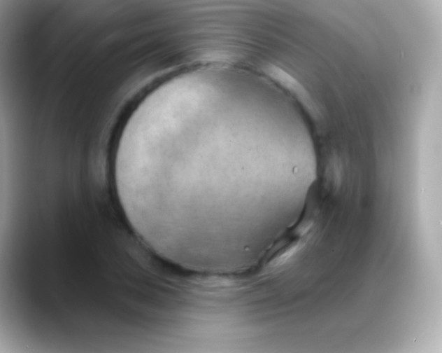 X0000088491027200706051414