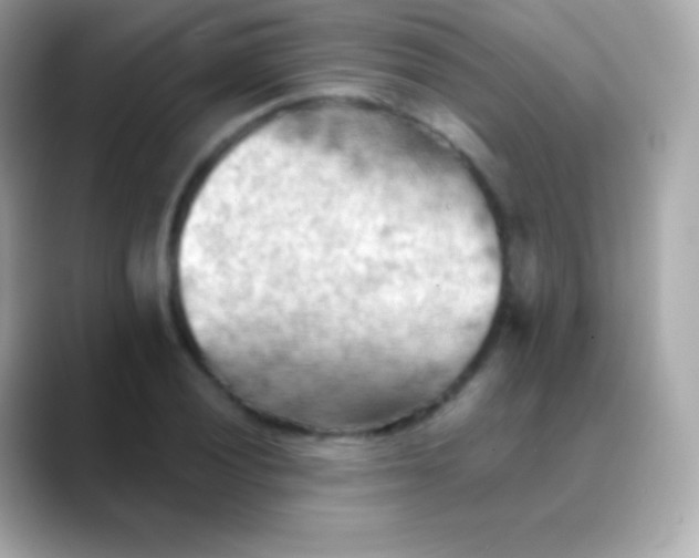 X0000088491028200706051414