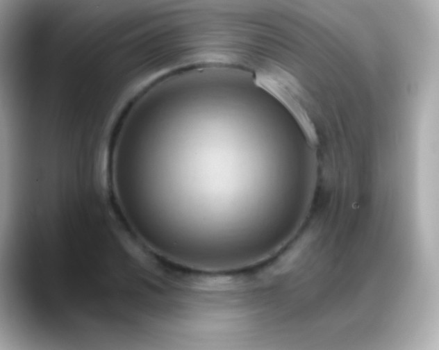 X0000088491030200706051414