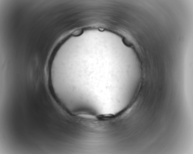 X0000088491032200706051414