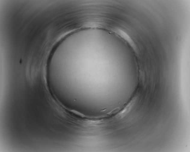 X0000088491035200706051414