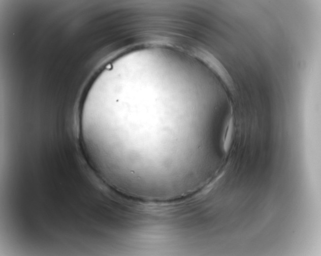 X0000088491036200706051414