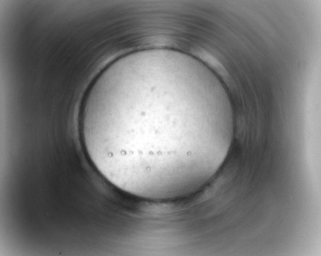X0000088491039200706051414