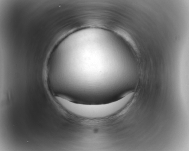 X0000088491040200706051414
