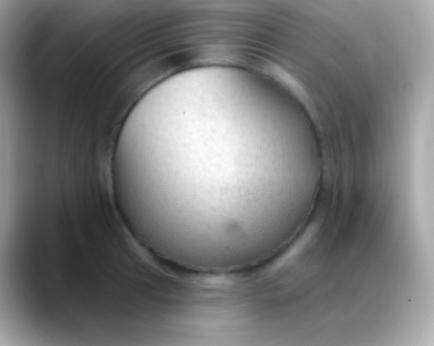 X0000088491041200706051415