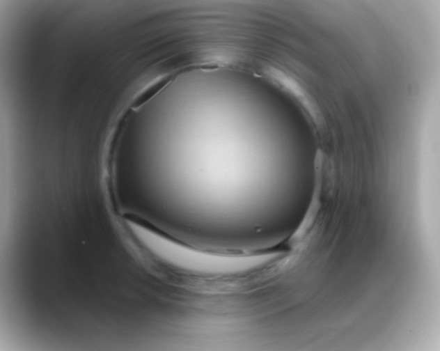 X0000088491042200706051415