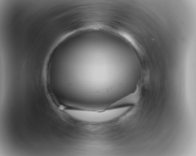 X0000088491046200706051415