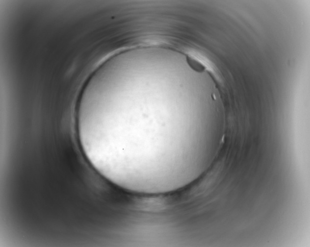 X0000088491047200706051415