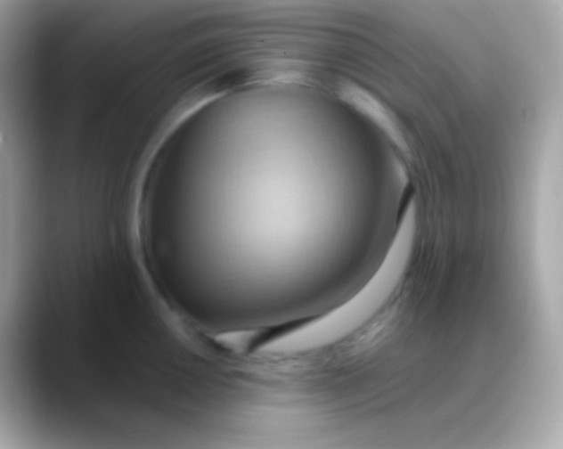 X0000088491050200706051415