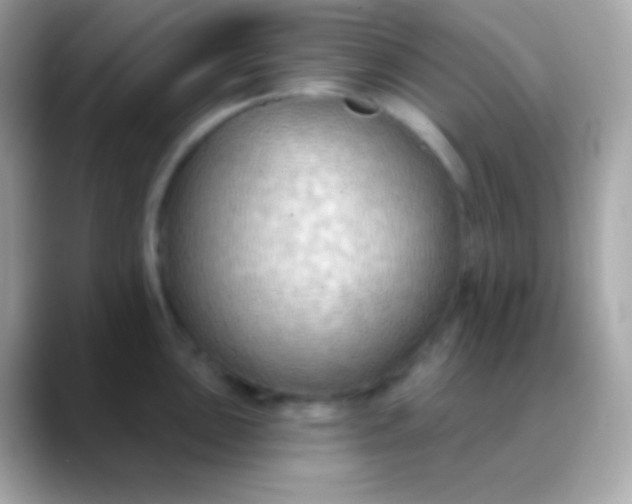 X0000088491051200706051415