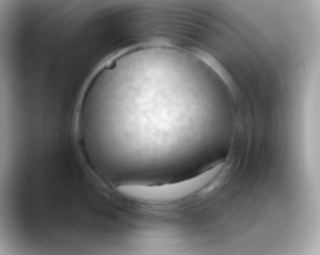 X0000088491052200706051415