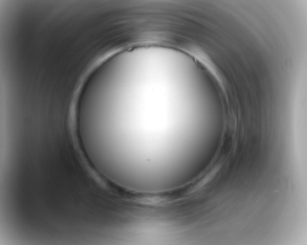 X0000088491053200706051415