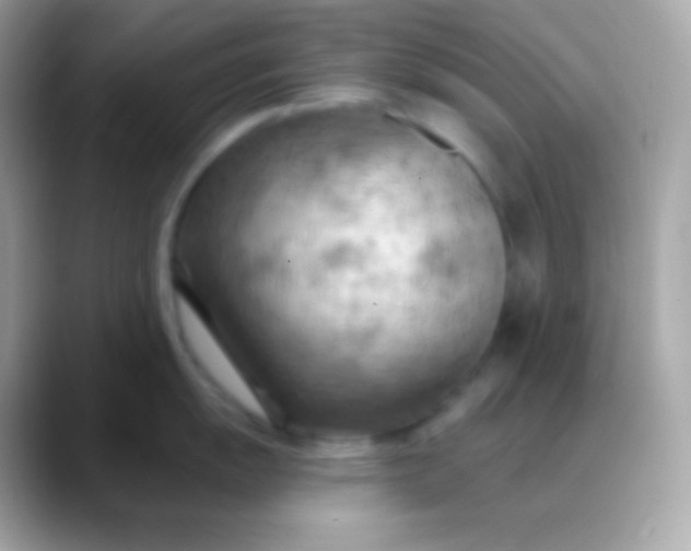 X0000088491055200706051415