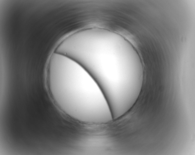 X0000088491056200706051415