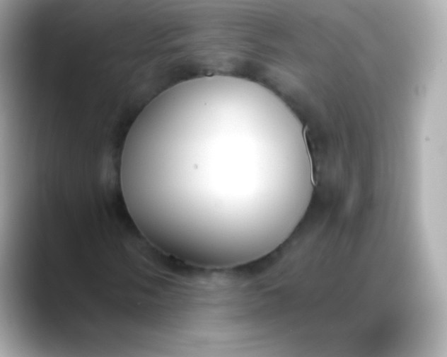 X0000088491058200706051414