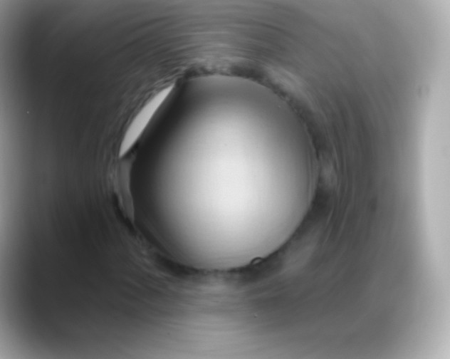 X0000088491060200706051414
