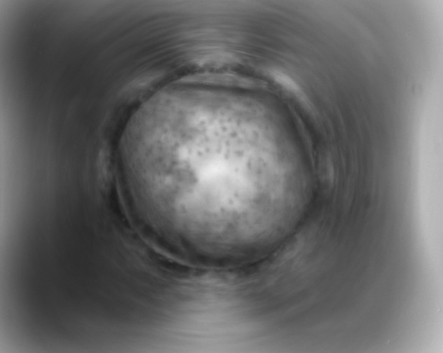 X0000088491063200706051414