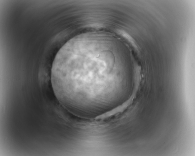 X0000088491064200706051414