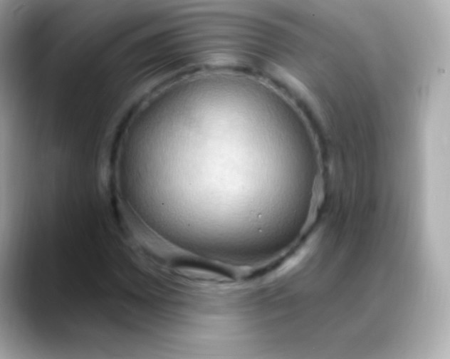 X0000088491065200706051414