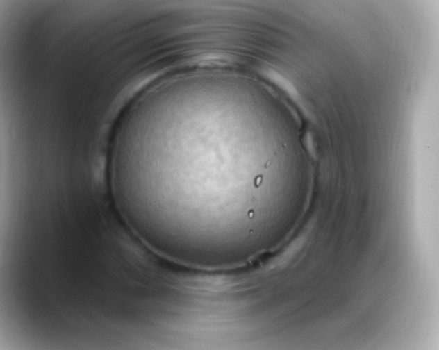 X0000088491066200706051414