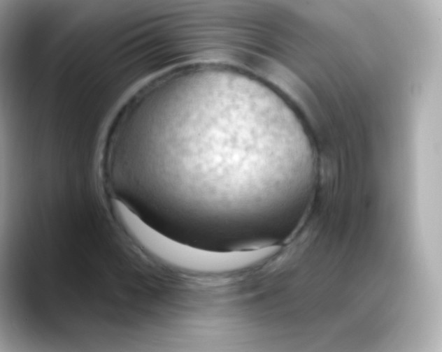 X0000088491068200706051414