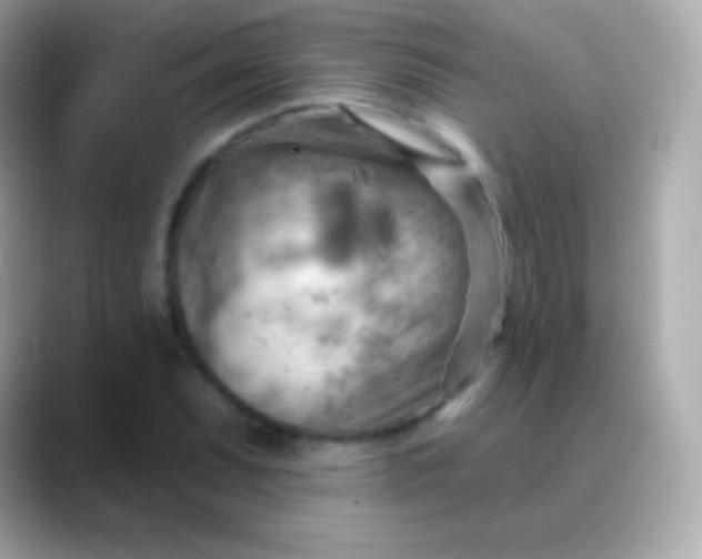 X0000088491071200706051414